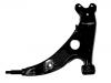 Brazo de suspensión Control Arm:48069-42022