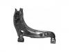 Control Arm:N066-34-310