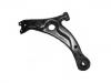 Control Arm:48069-44010