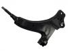 Control Arm:B001-34-360C