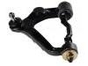 Control Arm:48067-29075