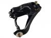 Control Arm:48610-28013