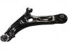 Brazo de suspensión Control Arm:54500-1Y100