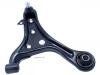 Control Arm:48069-79015