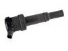 Ignition Coil:27301-03110