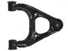 Control Arm:N066-34-200